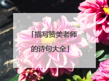 描写赞美老师的诗句大全
