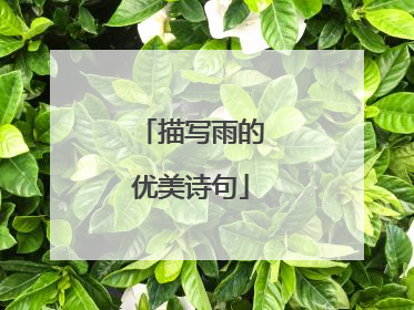 描写雨的优美诗句
