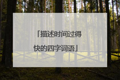 描述时间过得快的四字词语