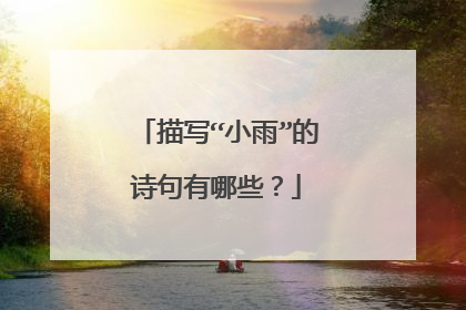 描写“小雨”的诗句有哪些？