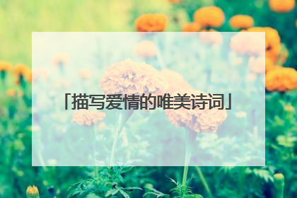 描写爱情的唯美诗词