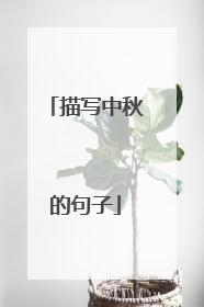 描写中秋的句子