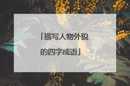 描写人物外貌的四字成语