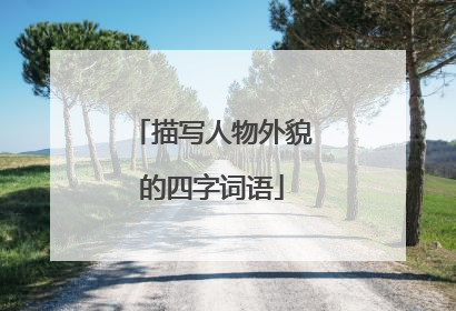 描写人物外貌的四字词语