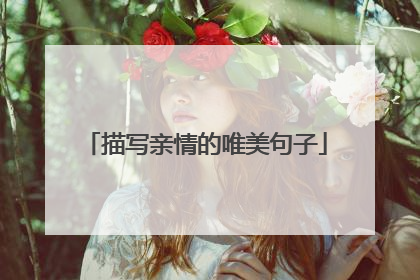 描写亲情的唯美句子