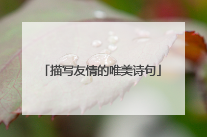 描写友情的唯美诗句