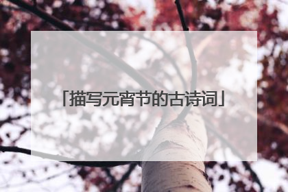 描写元宵节的古诗词