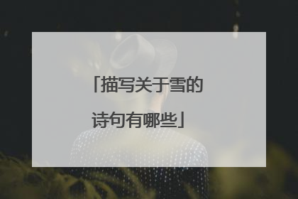 描写关于雪的诗句有哪些