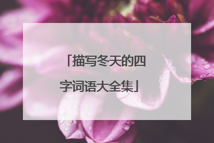 描写冬天的四字词语大全集