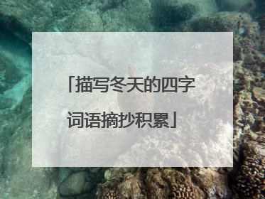 描写冬天的四字词语摘抄积累