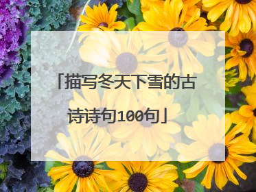 描写冬天下雪的古诗诗句100句