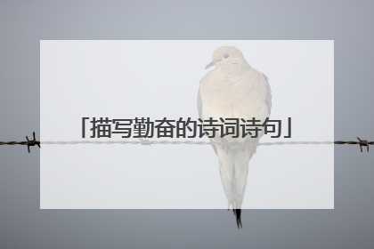描写勤奋的诗词诗句