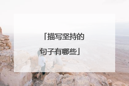 描写坚持的句子有哪些