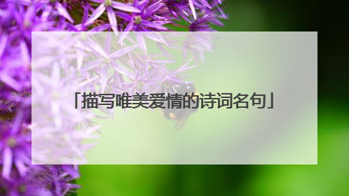 描写唯美爱情的诗词名句