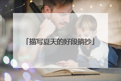 描写夏天的好段摘抄