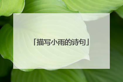 描写小雨的诗句