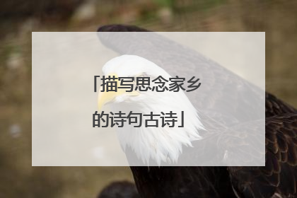 描写思念家乡的诗句古诗