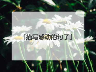 描写感动的句子