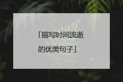 描写时间流逝的优美句子