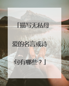 描写无私母爱的名言或诗句有哪些?