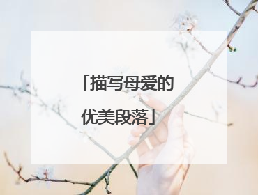 描写母爱的优美段落