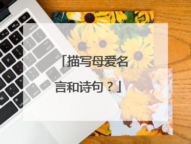 描写母爱名言和诗句?