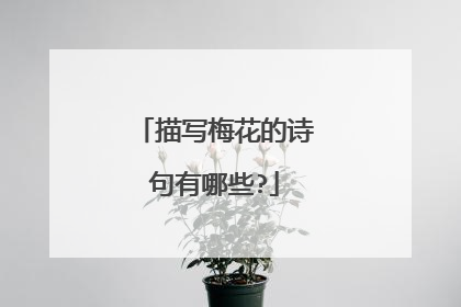 描写梅花的诗句有哪些?