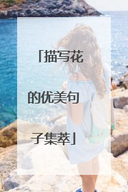 描写花的优美句子集萃