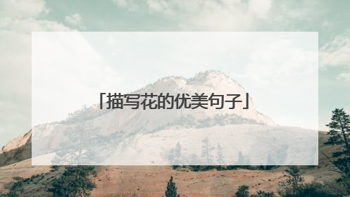 描写花的优美句子