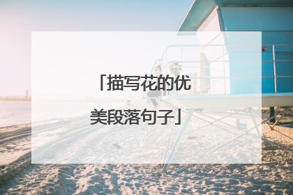 描写花的优美段落句子