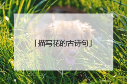 描写花的古诗句