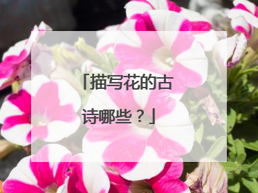 描写花的古诗哪些?
