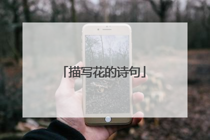 描写花的诗句