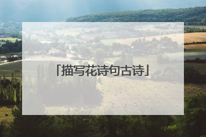 描写花诗句古诗