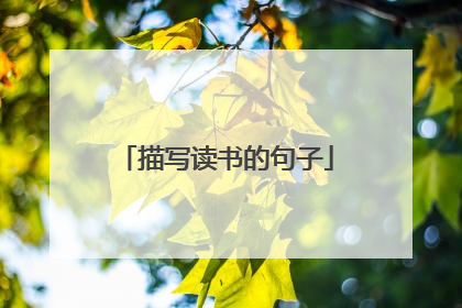 描写读书的句子