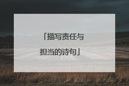 描写责任与担当的诗句