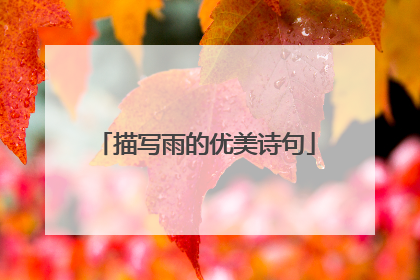 描写雨的优美诗句