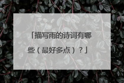 描写雨的诗词有哪些(最好多点)?