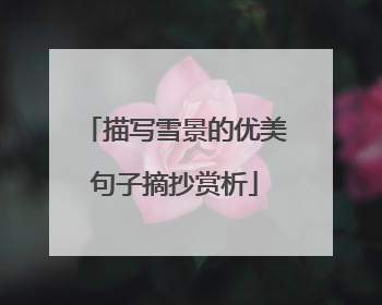 描写雪景的优美句子摘抄赏析