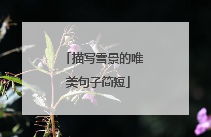 描写雪景的唯美句子简短