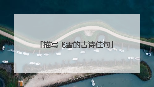 描写飞雪的古诗佳句