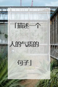 描述一个人的气质的句子