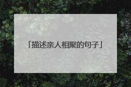 描述亲人相聚的句子