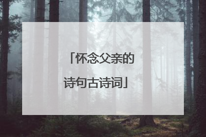 怀念父亲的诗句古诗词