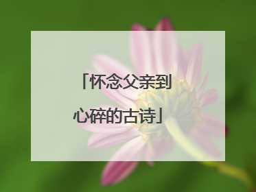怀念父亲到心碎的古诗