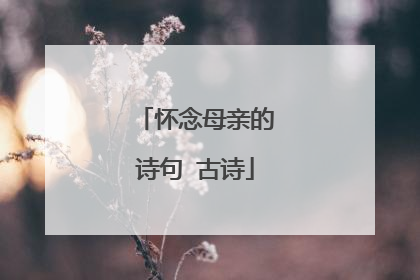 怀念母亲的诗句 古诗