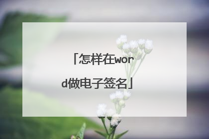 怎样在word做电子签名