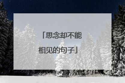 思念却不能相见的句子
