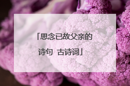 思念已故父亲的诗句 古诗词