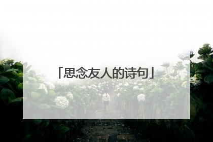 思念友人的诗句